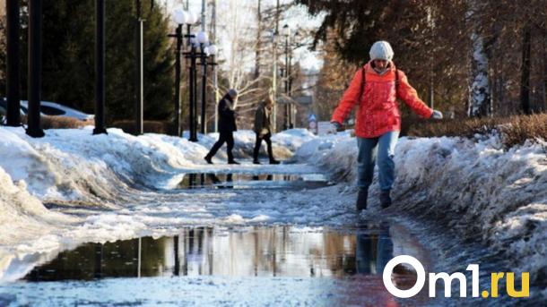 Не убирайте куртки! Синоптик предупреждает новосибирцев о сюрпризах в мае