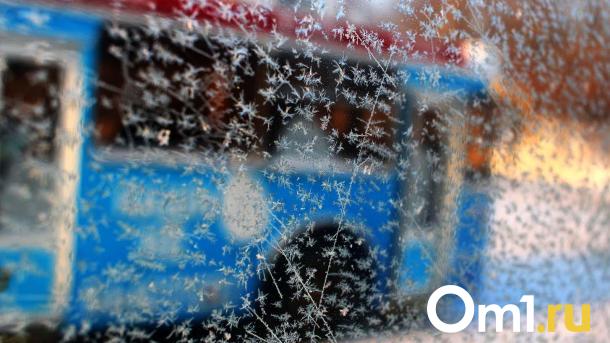 В Омске в конце марта похолодает до -22