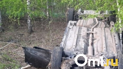 В Омской области иномарка перевернулась в кювет — двое пострадали