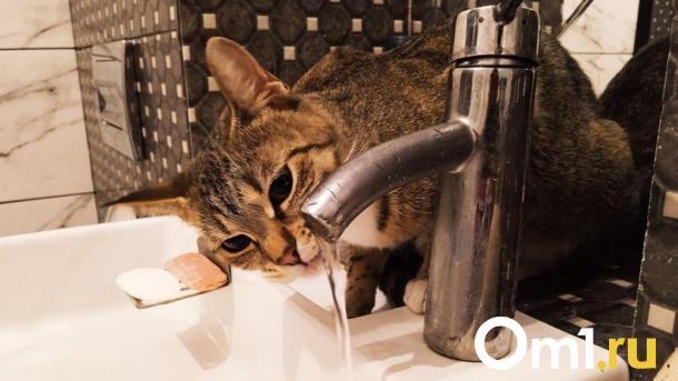 Часть омичей сегодня останется без холодной воды