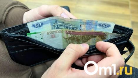 В Омске на популярной маршрутке с Левого берега подняли цены на проезд